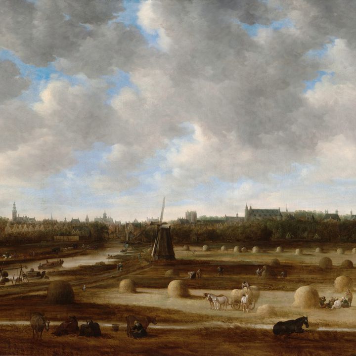 Jan van Goyen's Gezicht op Den Haag in het Haagse stadhuis