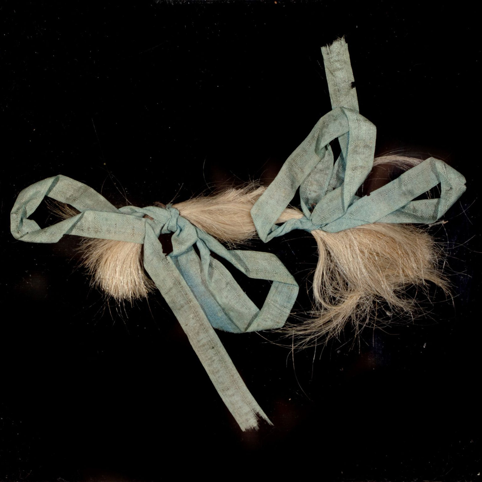 Een haarlok uit de Hofkapel op het Binnenhof