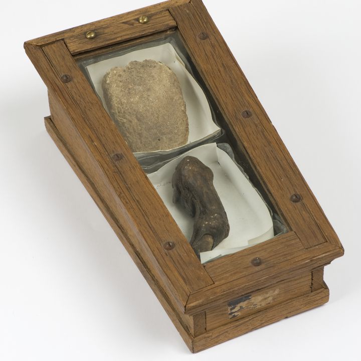 Tong en vinger van Johan en Cornelis De Witt