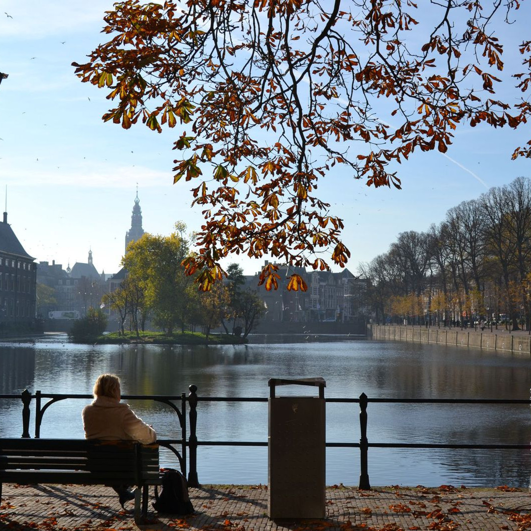 het-nieuwe-haags-historisch-museum-binnenhof-hofvijfer